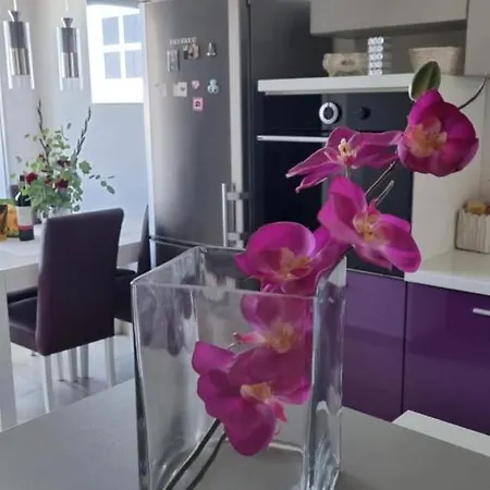 Natasha Lägenhet Biograd Na Moru